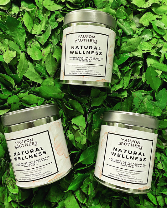 Antioxidants, Adaptogens and Your Health: Natural Wellness & Yaupon