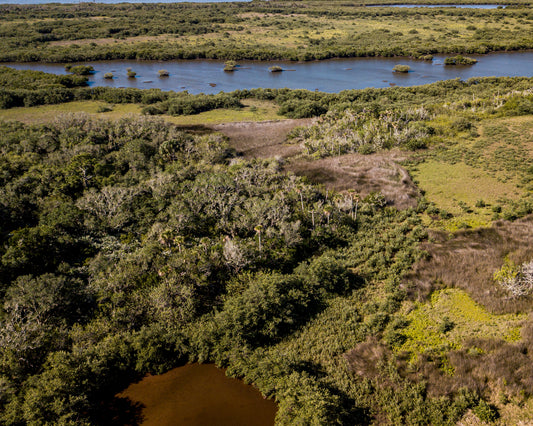 What does "Organic" mean? A quick rundown of organic food production