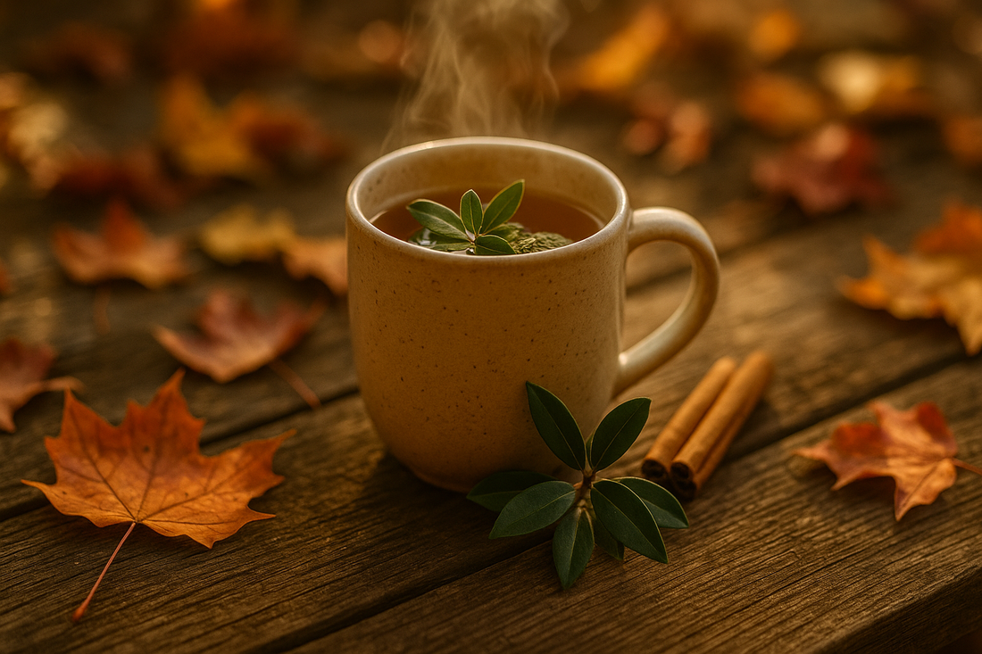Sip Into A New Fall Tea: Why Yaupon Tea Belongs in Your Autumn Ritual