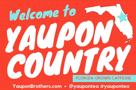 Are You Drinking Florida-Grown Tea? - From East Coast Current