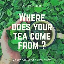 Yaupon Brothers Launches in UK and Ireland