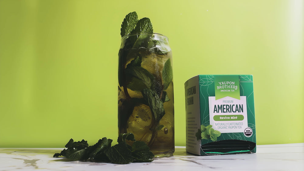 yaupon brothers organic yaupon revive mint tea