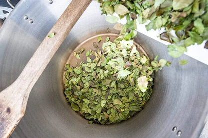 FG.YB.eco-16.each Yaupon Tea - Fire Roasted - box 16