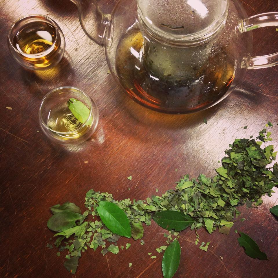 Organic Loose Leaf Traditional Green Yaupon (1/2 Oz. Pouch) - Yaupon Brothers American Tea Co.