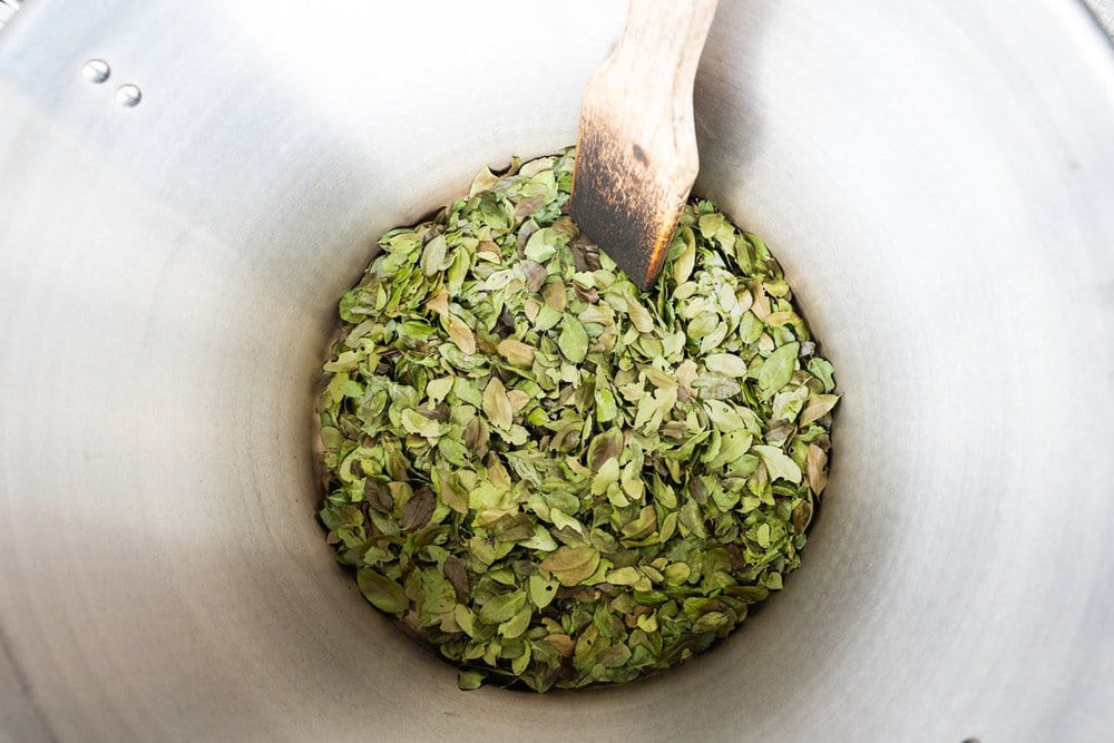 
                  
                    yaupon Fire-Roasted Warrior's Blend Yaupon (1 lb. Bulk Loose Leaf)
                  
                